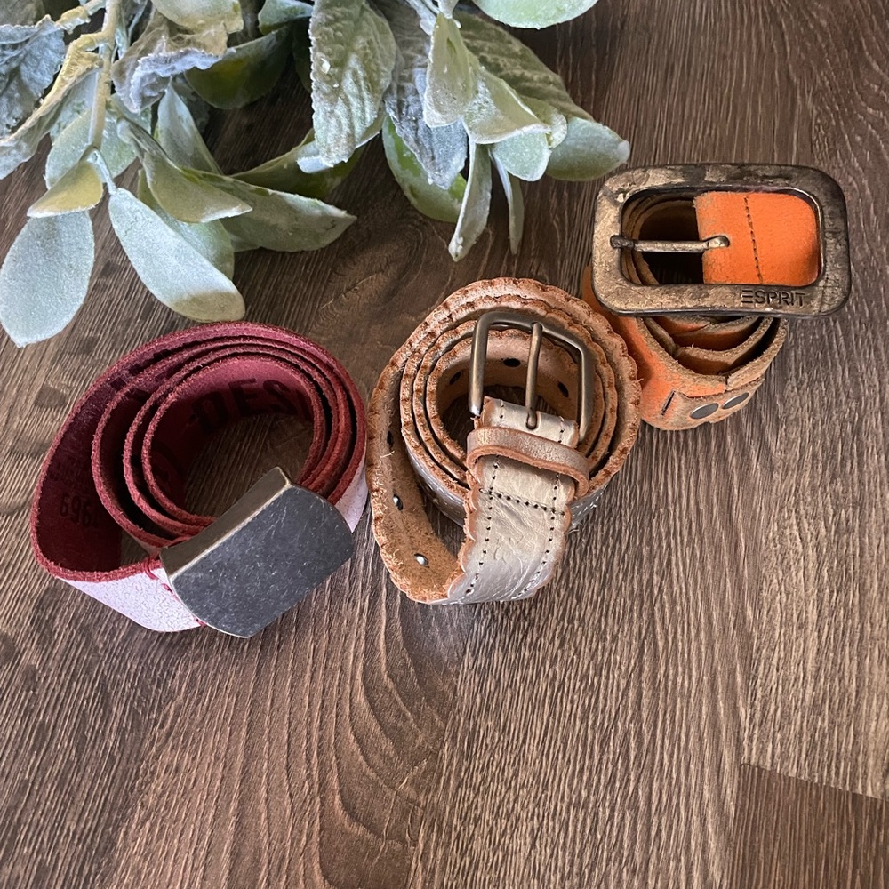 Belts Bundle